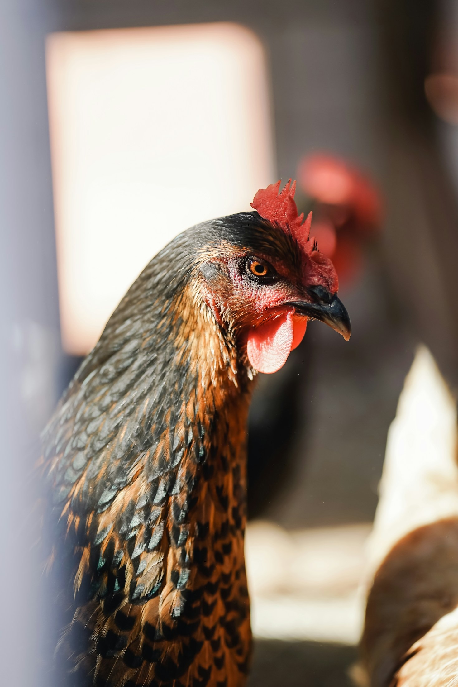 Community Engagement: A Pillar of Agricultural Success