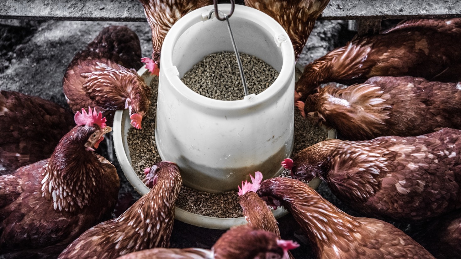 Sustainability in Action: TIMTRA’s Innovative Approach